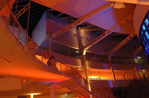 wente_0515_fuk2005